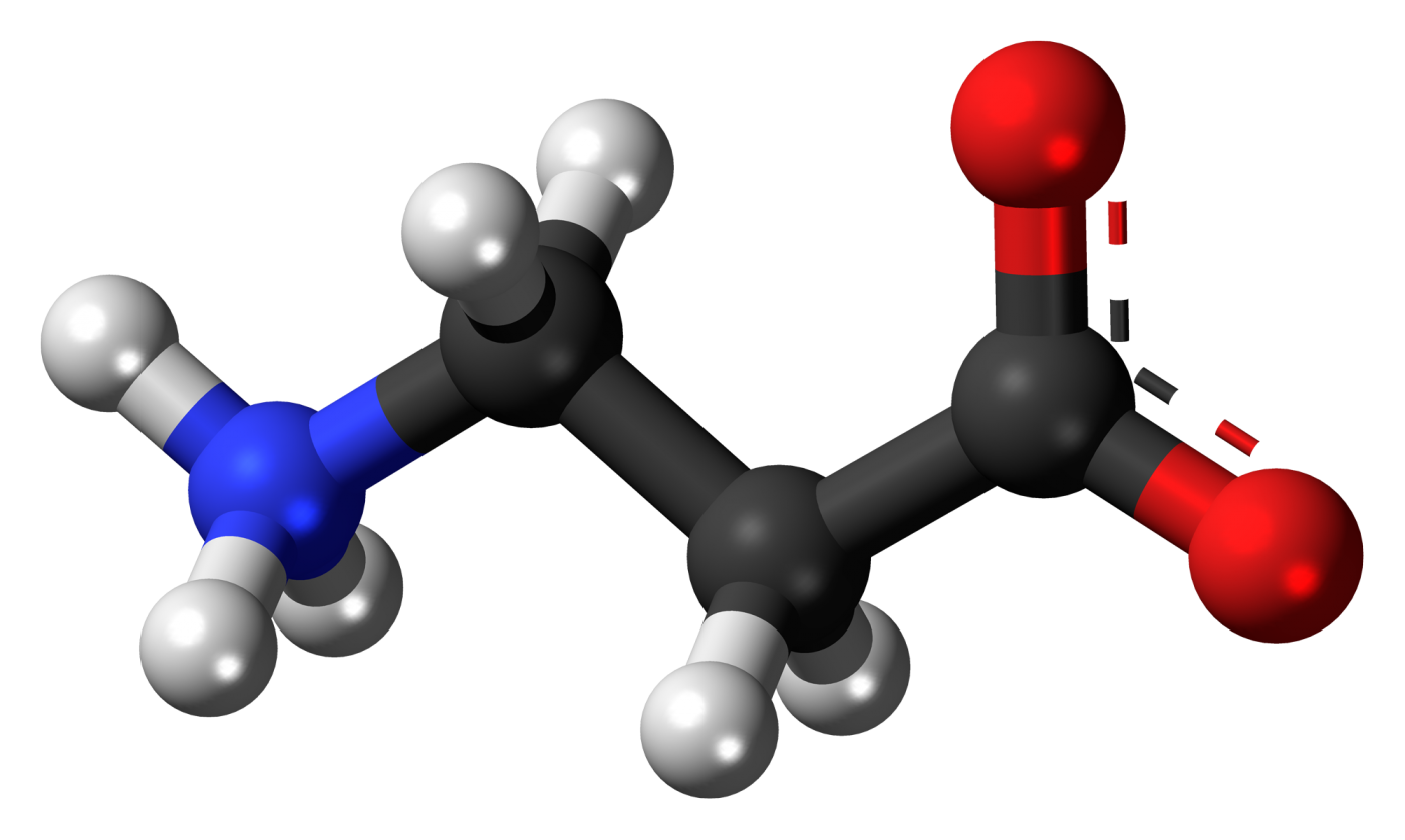 benefits of beta-alanine