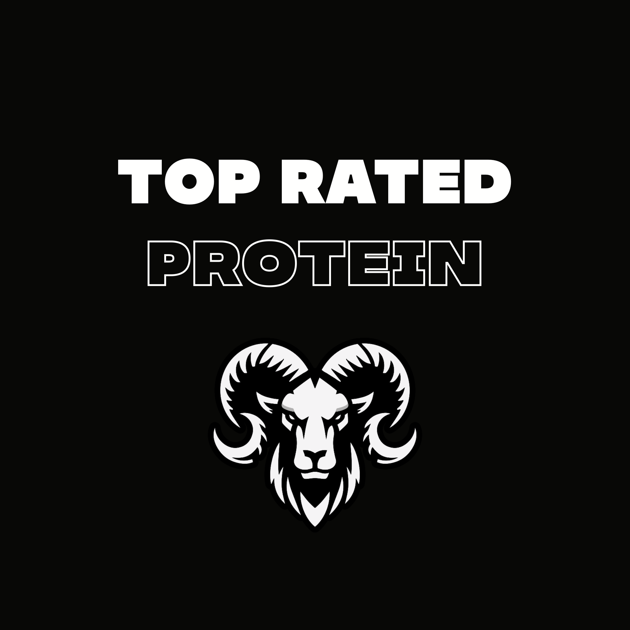 Best Protein Powder