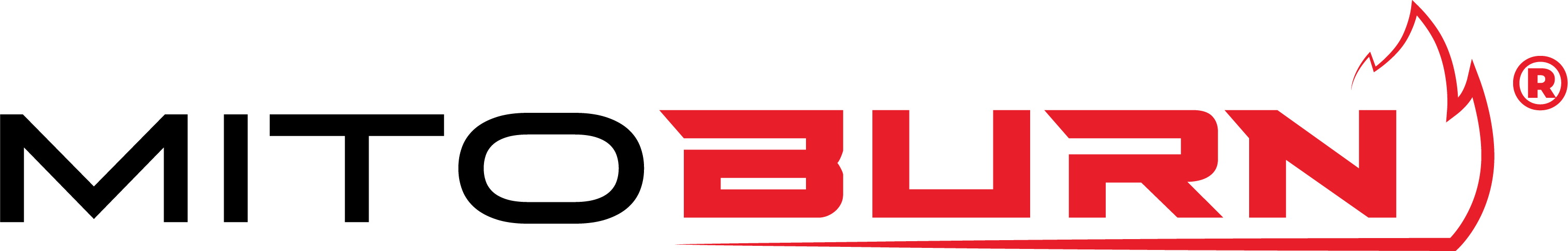 Fat-Burning Ingredients